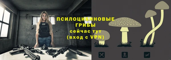 сатива Бугульма
