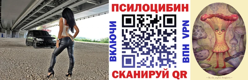 Купить где  Джанкой  Псилоцибиновые грибы прущие грибы 